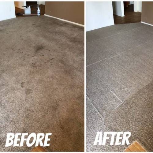Commercial Carpet Cleaning Columbus Oh Results 2