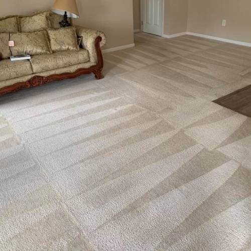 Carpet Cleaning Westerville Oh Results 4