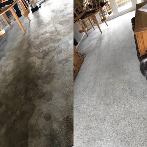 Commercial Carpet Cleaning Lewis Center Oh Results 3