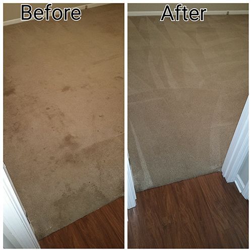 Pet Odor Stain Removal Grandview OH Results 1