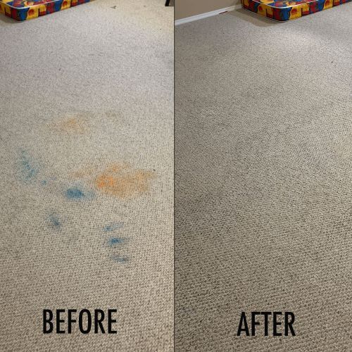 Pet Odor Stain Removal Westerville OH Results 3