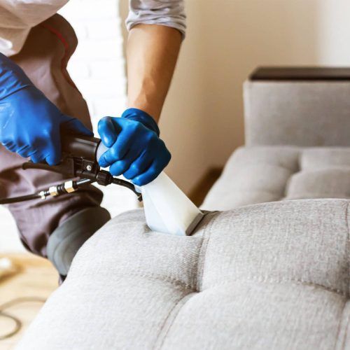 Best Upholstery Cleaning Lewis Center OH
