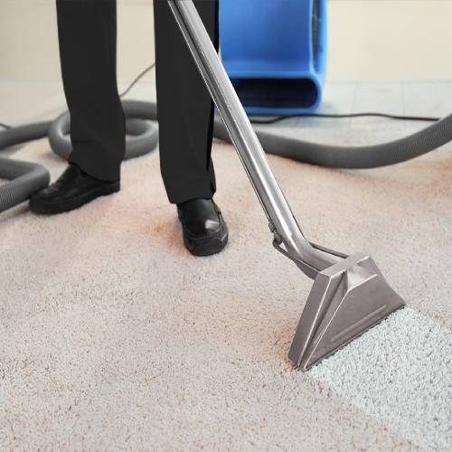 Carpet Cleaning in Columbus, OH