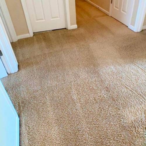 Carpet Cleaning Columbus Oh Results 3