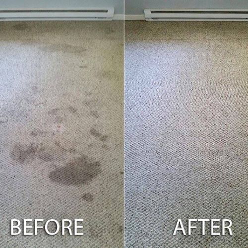 Pet Odor Stain Removal Powell OH Results 2