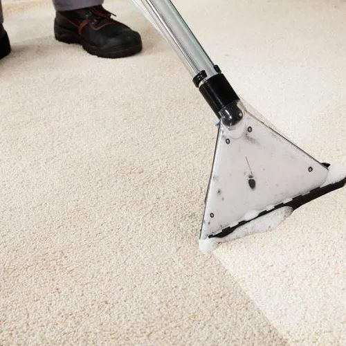 Top Carpet Cleaning Columbus Oh